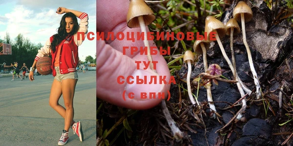 синтетический гашиш Абинск
