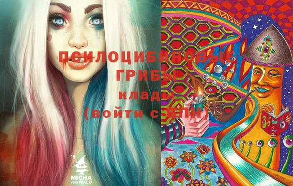скорость Абаза