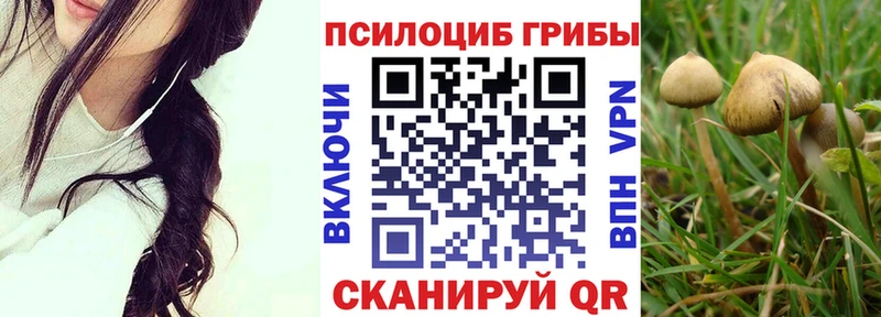 Псилоцибиновые грибы ЛСД kraken зеркало Абакан как найти закладки